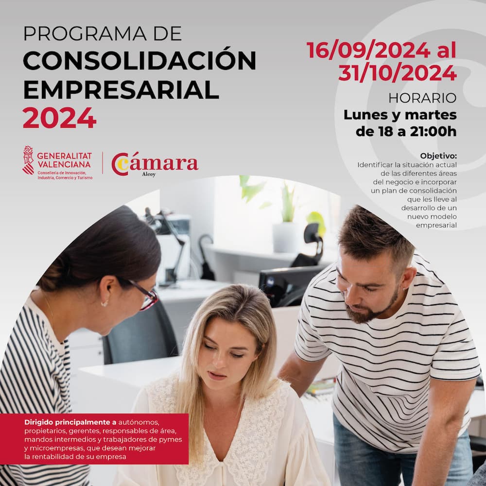 Plan de Consolidación Empresaria: Expertos analizan y proyectan mejoras en tu empresa