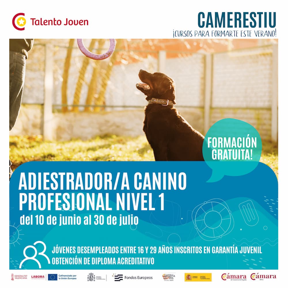 Adiestrador Canino