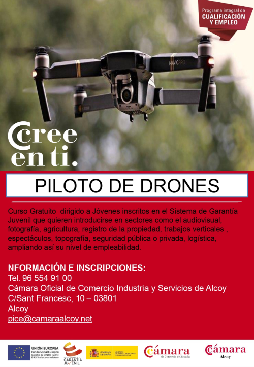 Piloto de Drones​