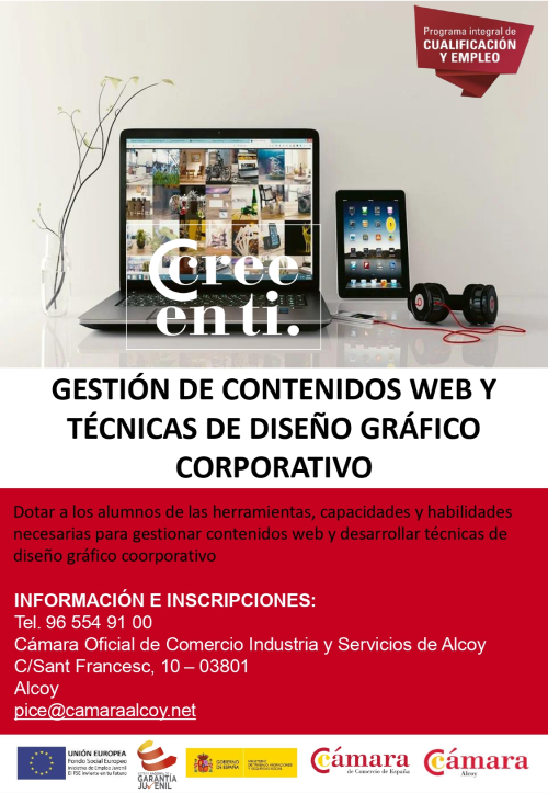 Gestión de contenidos web y técnicas de diseño gráfico corporativo